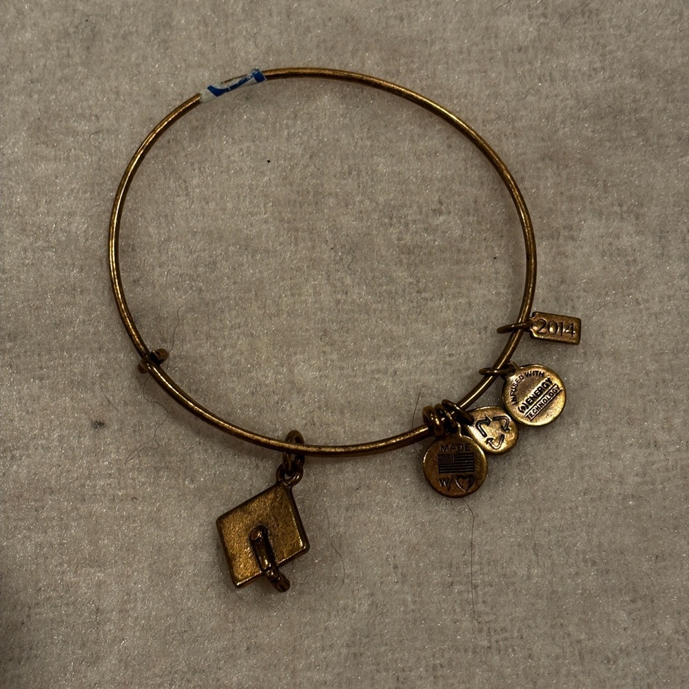 Alex and ani bangle bracelet